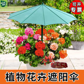 側(cè)立傘戶外遮陽 塑膠制品的應(yīng)用與優(yōu)勢